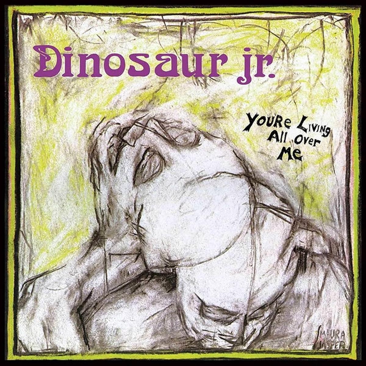 Dinosaur Jr.  You're Living All Over Me