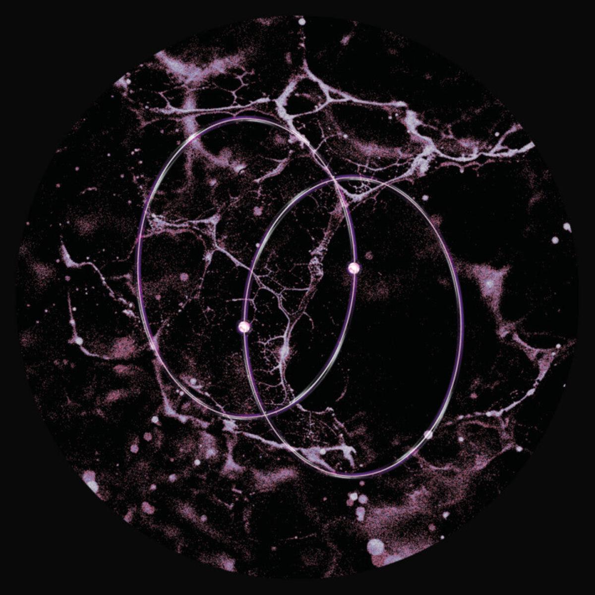 Leo Len - Echolocation (Ep)