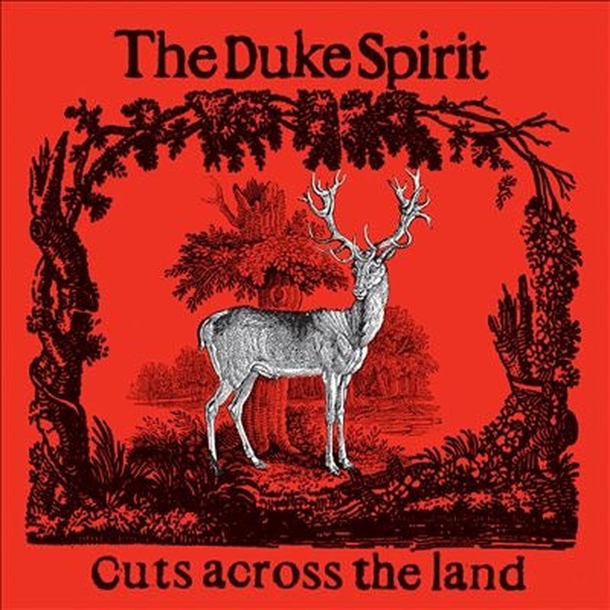 The Duke Spirit - Cuts Across The Land (Deluxe) - Import Colored Vinyl 2 LP Record Limited Edition