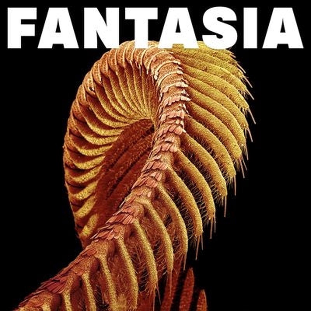 Slift - Fantasia - Import Colored Vinyl LP Recurd