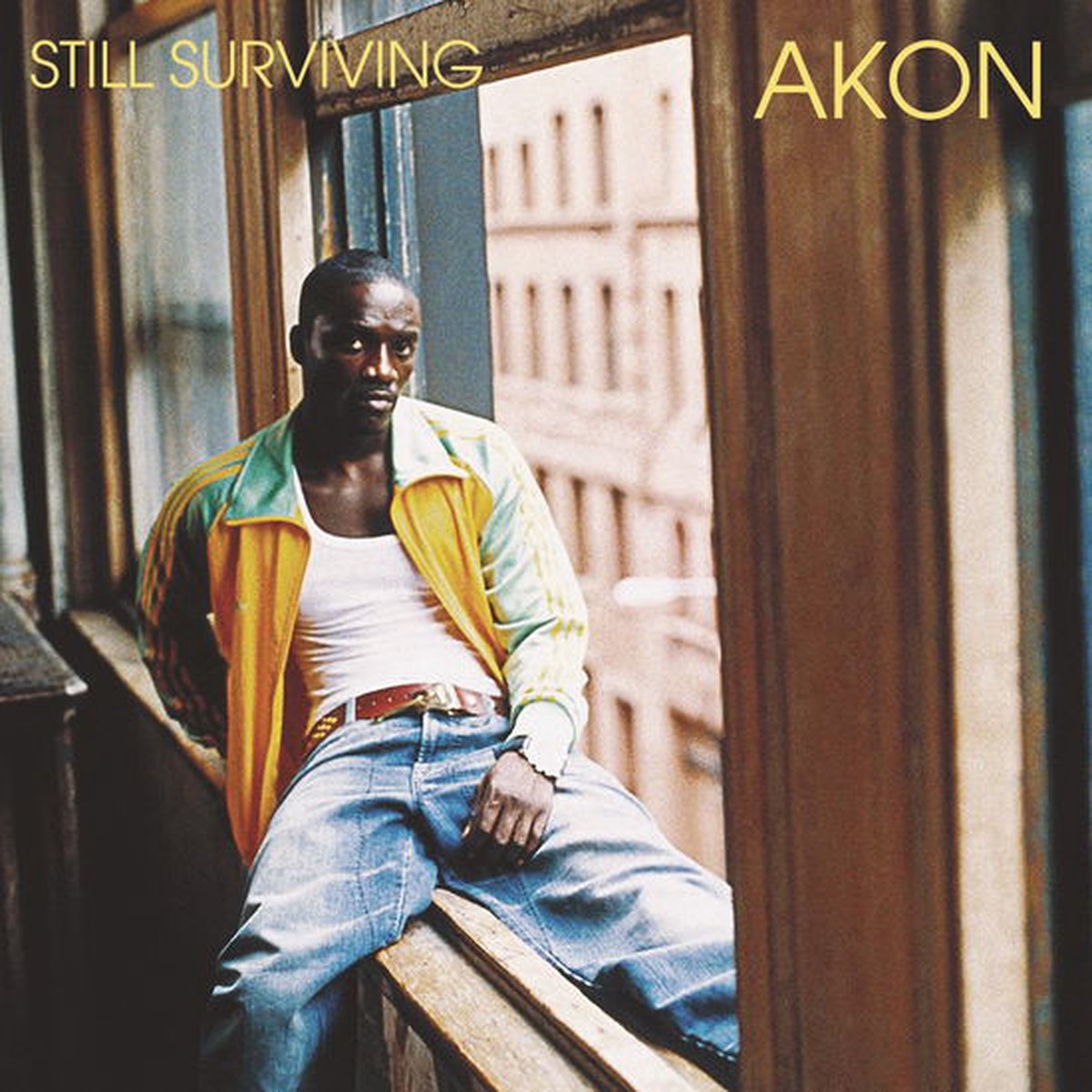 Akon - Still Surviving - Import CD