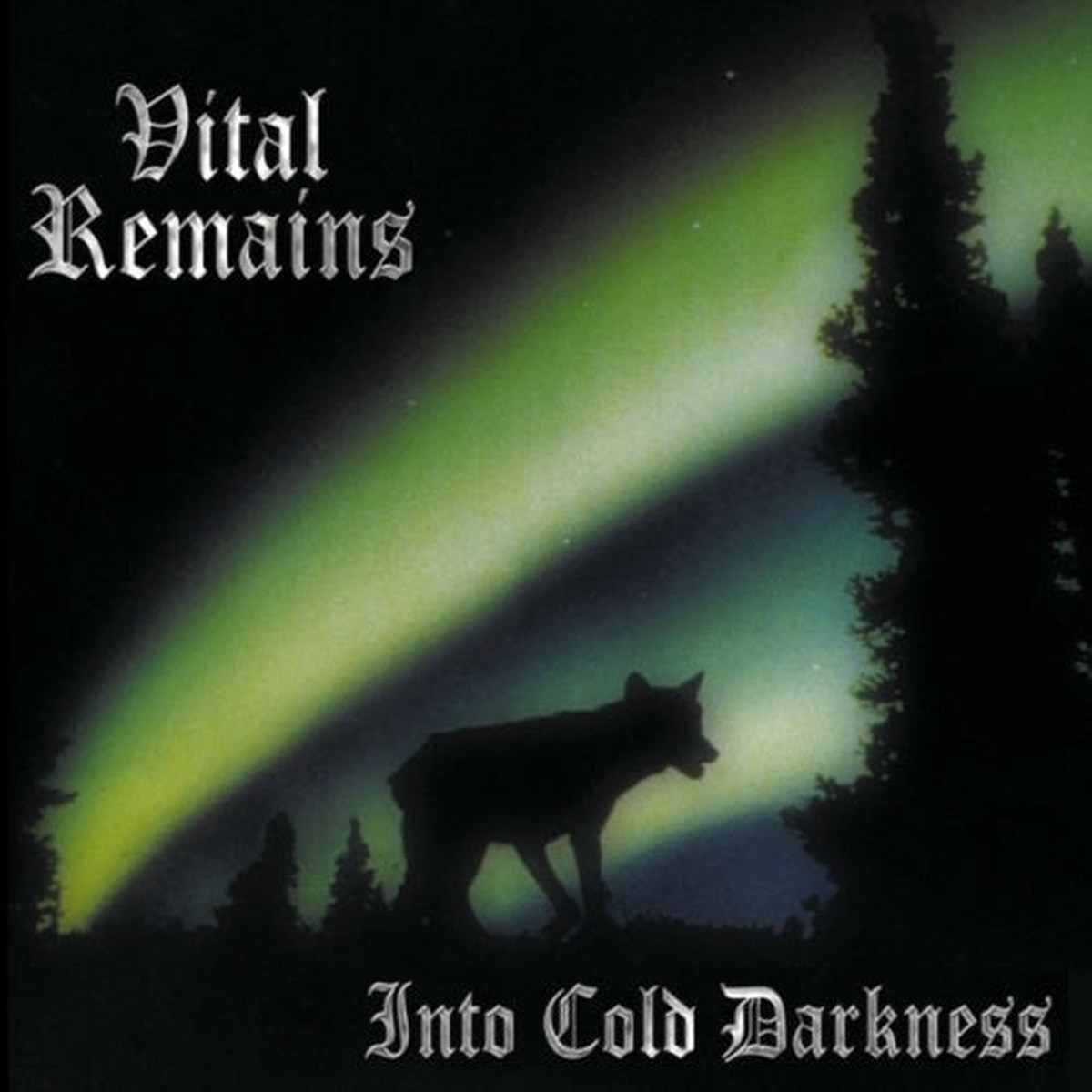 Vital Remains - Into Cold Darkness (30th Anniversary) - Import CD