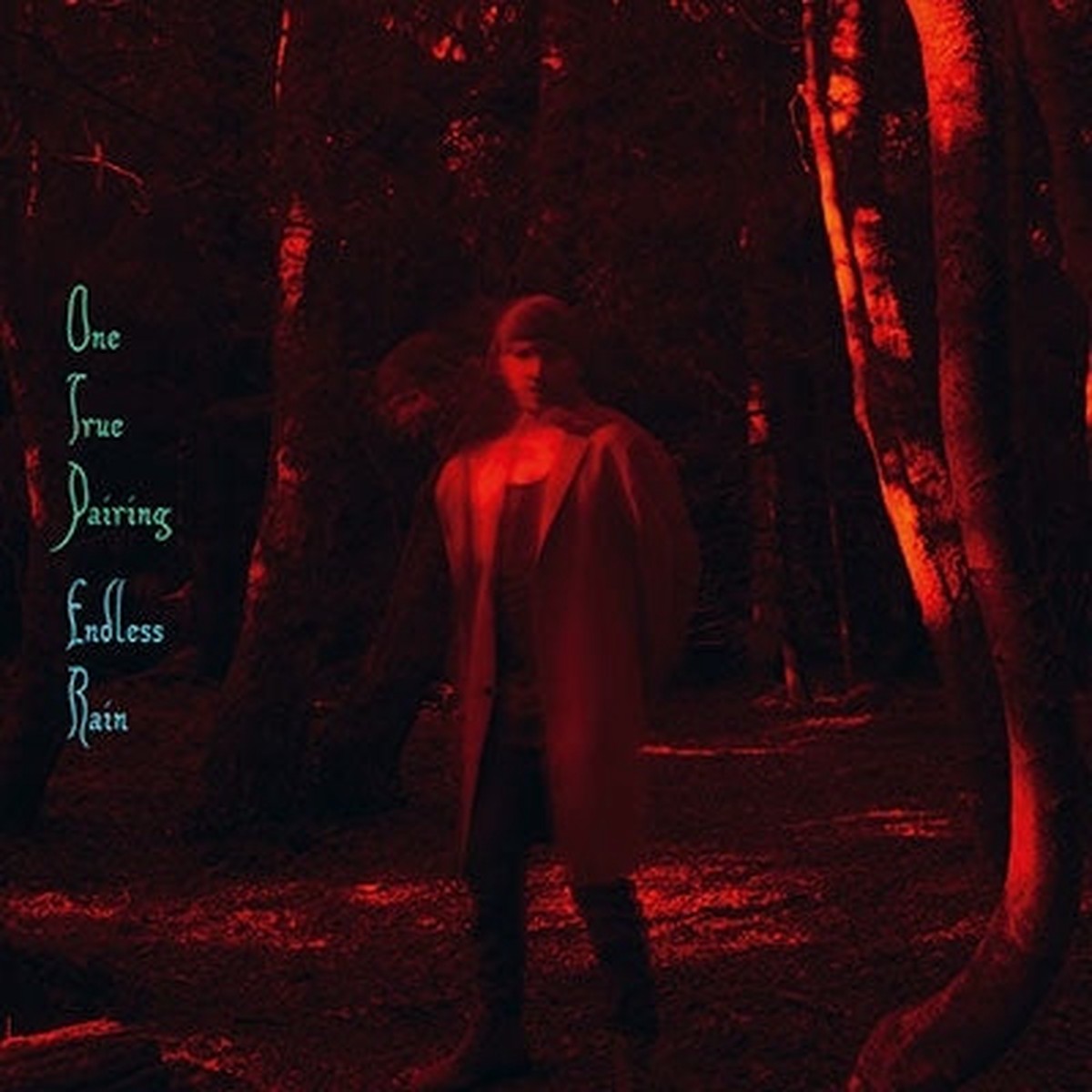 One True Pairing - Endless Rain - Import Vinyl LP Record