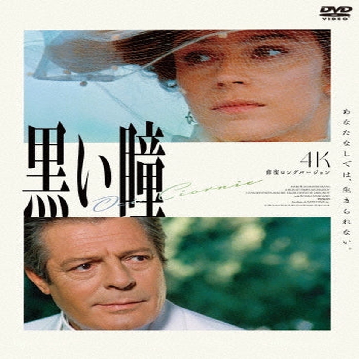 Movie - Oci Ciornie - Japan DVD