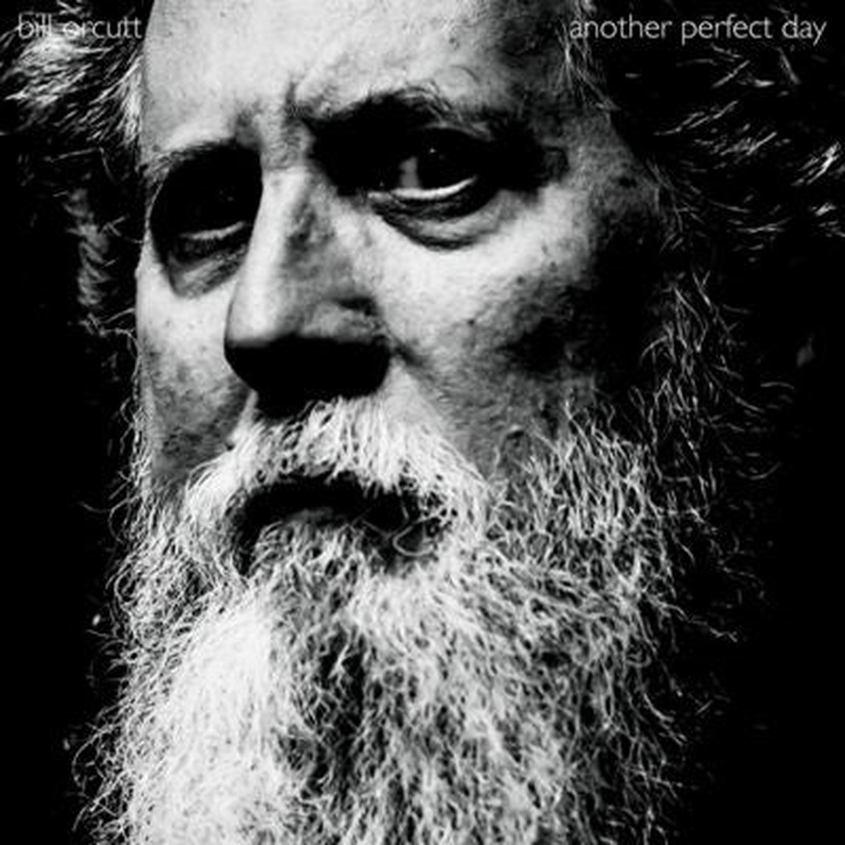 Bill Orcutt - Another Perfect Day - Import Vinyl LP Record