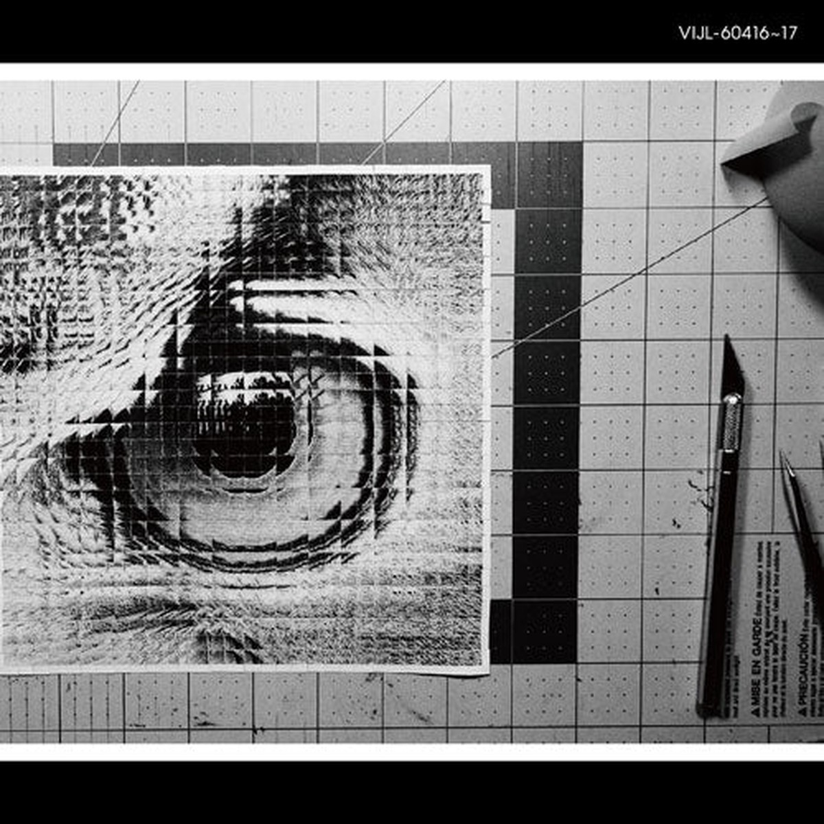 Sakanaction - Adapt - Japan 180g Vinyl 2 LP Recurd Limited Edition