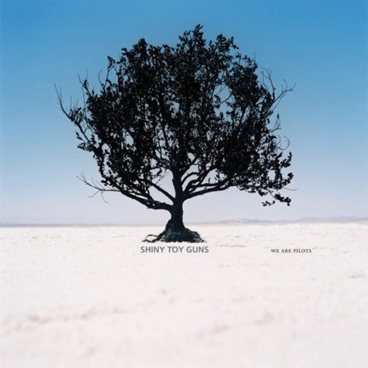 Shiny Toy Guns - We Are Pilots (Deluxe Edition) - Import Colored Vinyl 2 LP Record Limited Edition