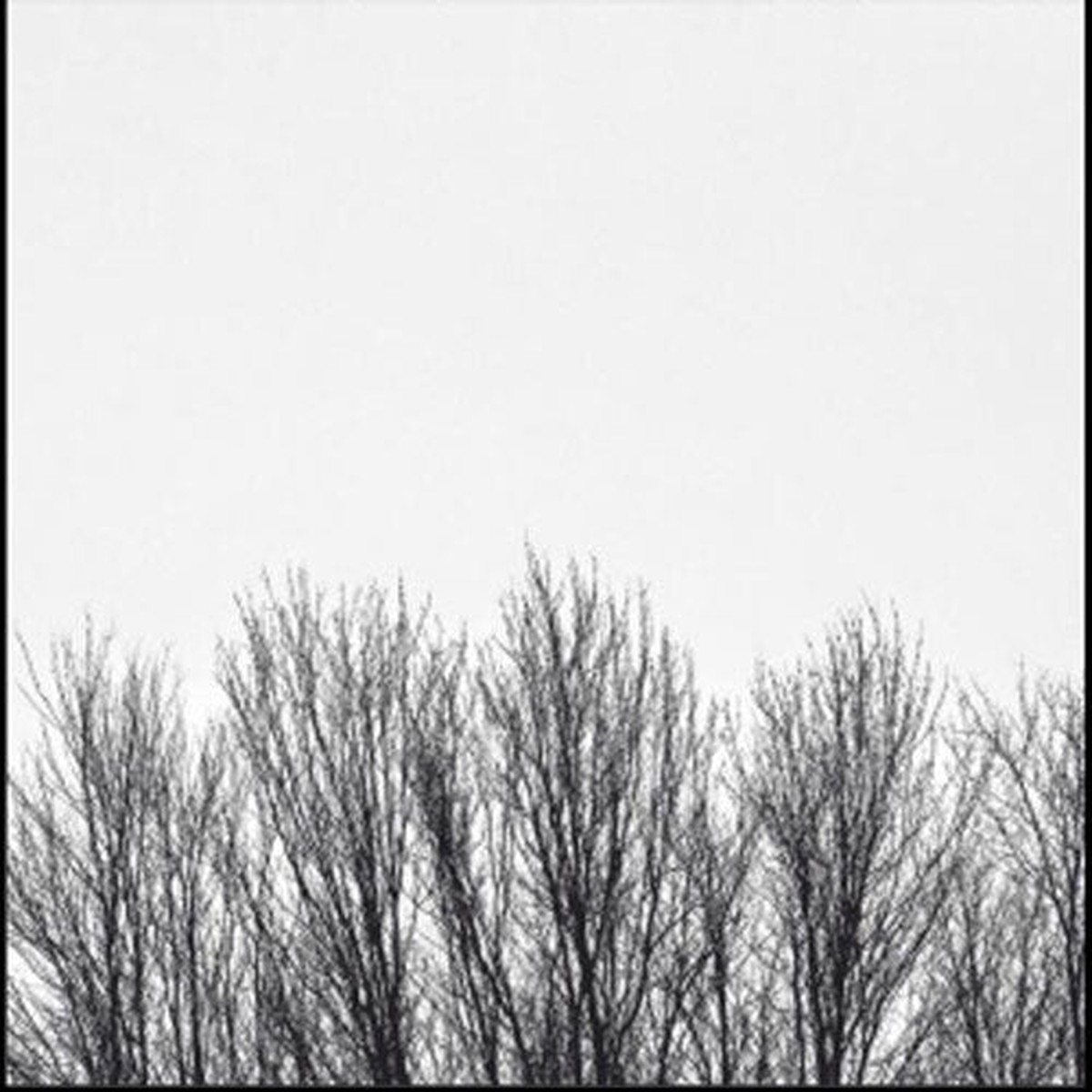 The Northwoods Improvisers - White Sky - Import CD