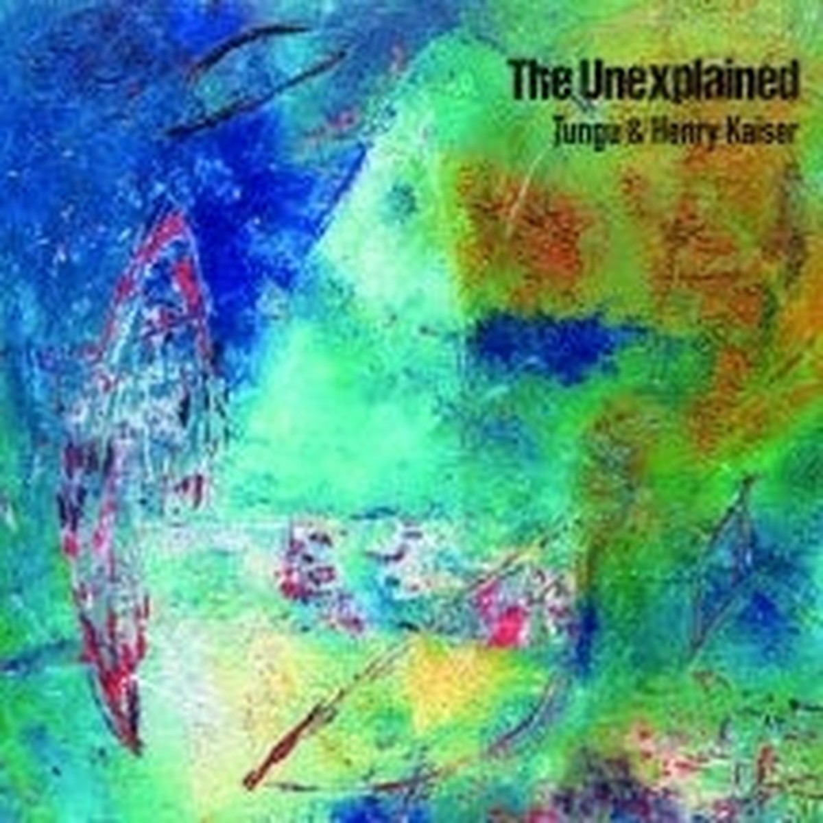Tungu Henry Kaiser - The Unexplained - Import CD