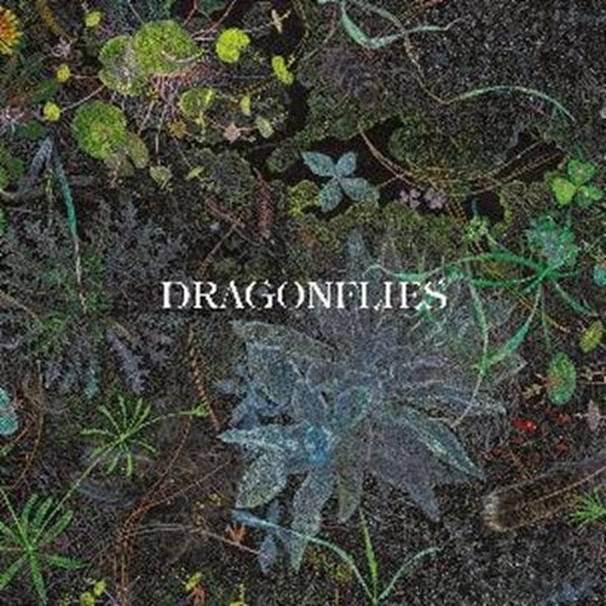 Dragonflies - Dragonflies (Exclusive) - Import Colored Vinyl LP Record Limited Edition