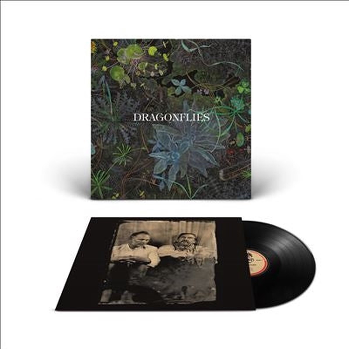 Dragonflies - Dragonflies - Import Vinyl LP Record