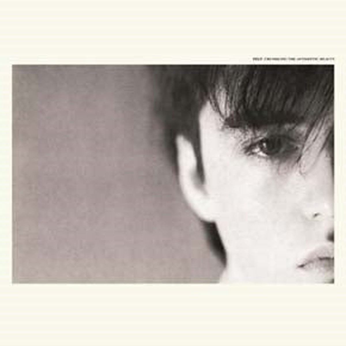 Felt - Crumbling the Antiseptic Beauty (Deluxe Remastered Edition) - Import Vinyl LP Record