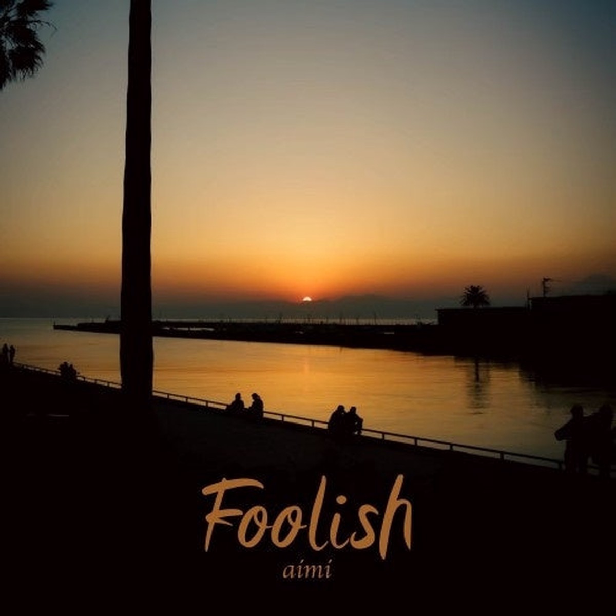 aimi (J-Pop) TOSHIKI HAYASHI(%C) Lil Summer - Foolish / Rock the Boat - Japan Vinyl 7inch Single Record