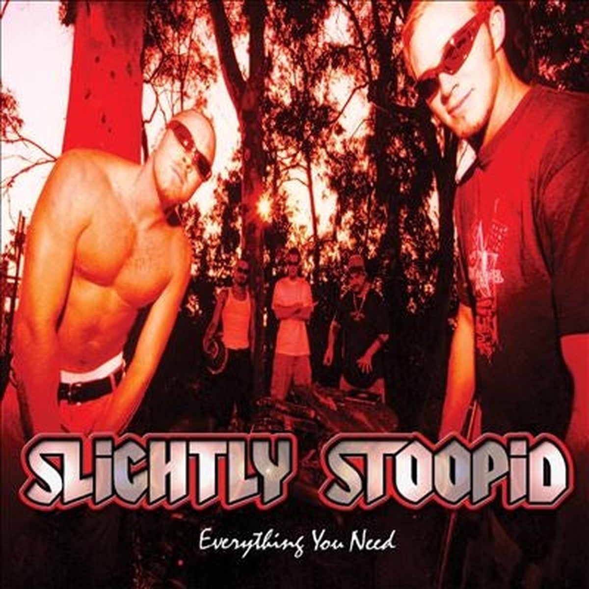 Slightly Stoopid - Everything You Need - Import Colored Vinyl LP Record