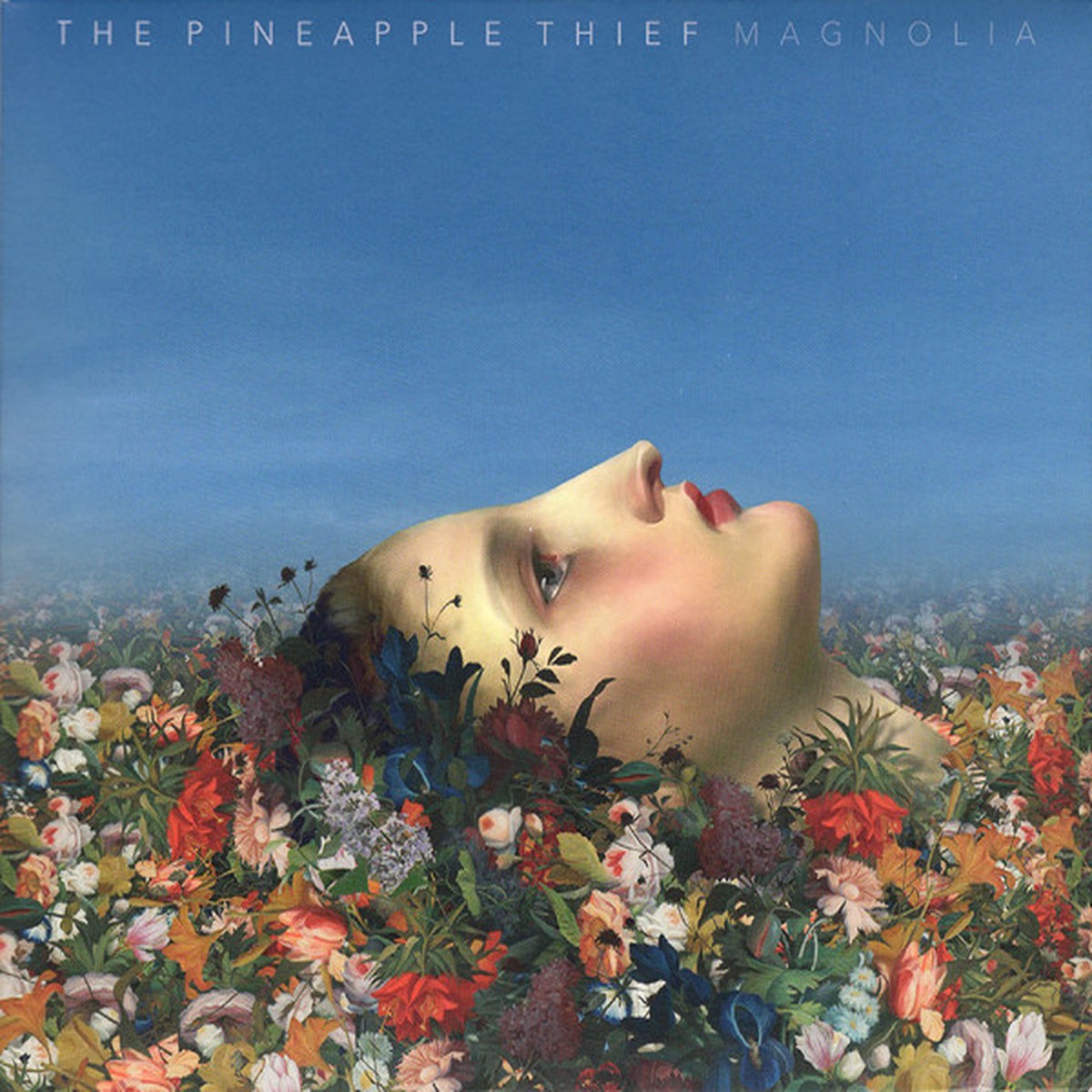 THE PINEAPPLE THIEF - MAGNOLIA (CD)