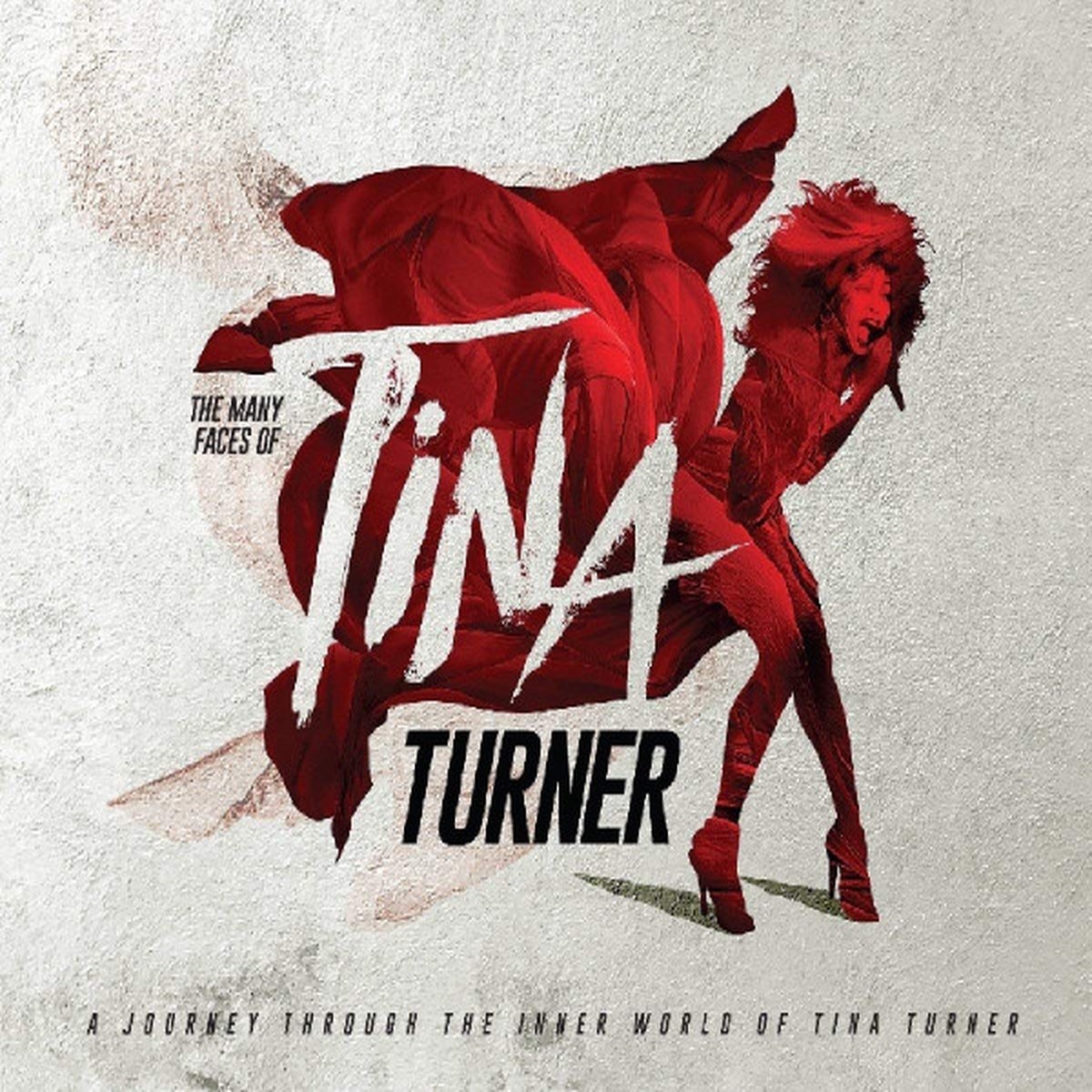 TINA TURNER / VARIOUS - MANY FACES OF TINA TURNER (3CD)