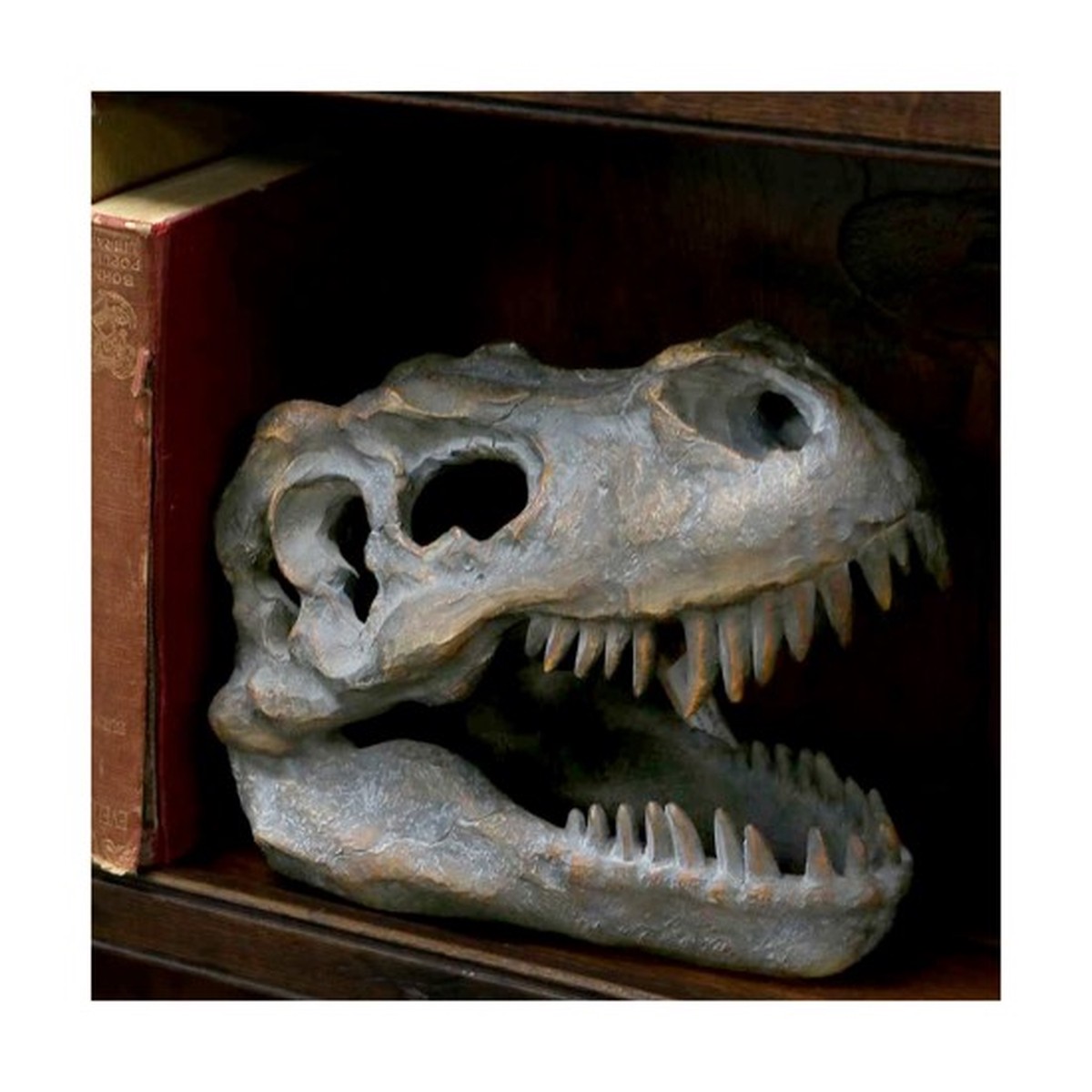 NEMESIS NOW: TYRANNOSAURUS - REX SKULL FREESTANDING (16cm)