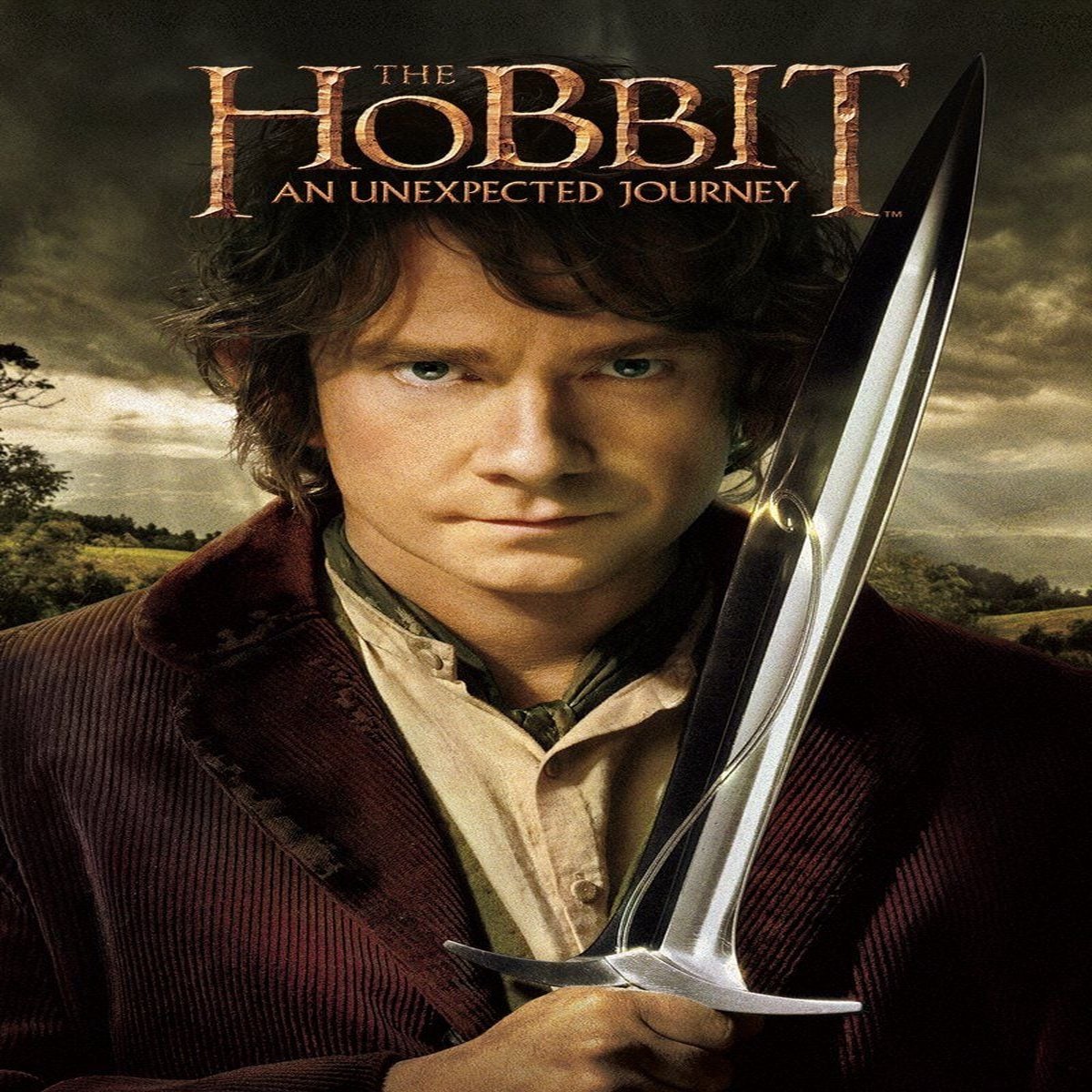 THE HOBBIT: AN UNEXPECTED JOURNEY (2 DISC SPECIAL EDITION) (DVD)