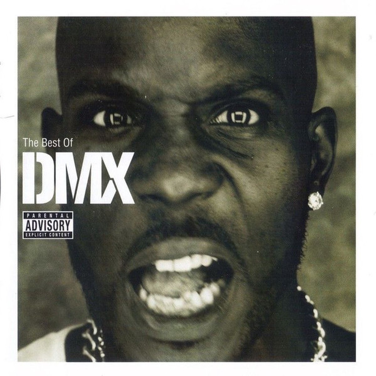 DMX - THE BEST OF DMX (CD)