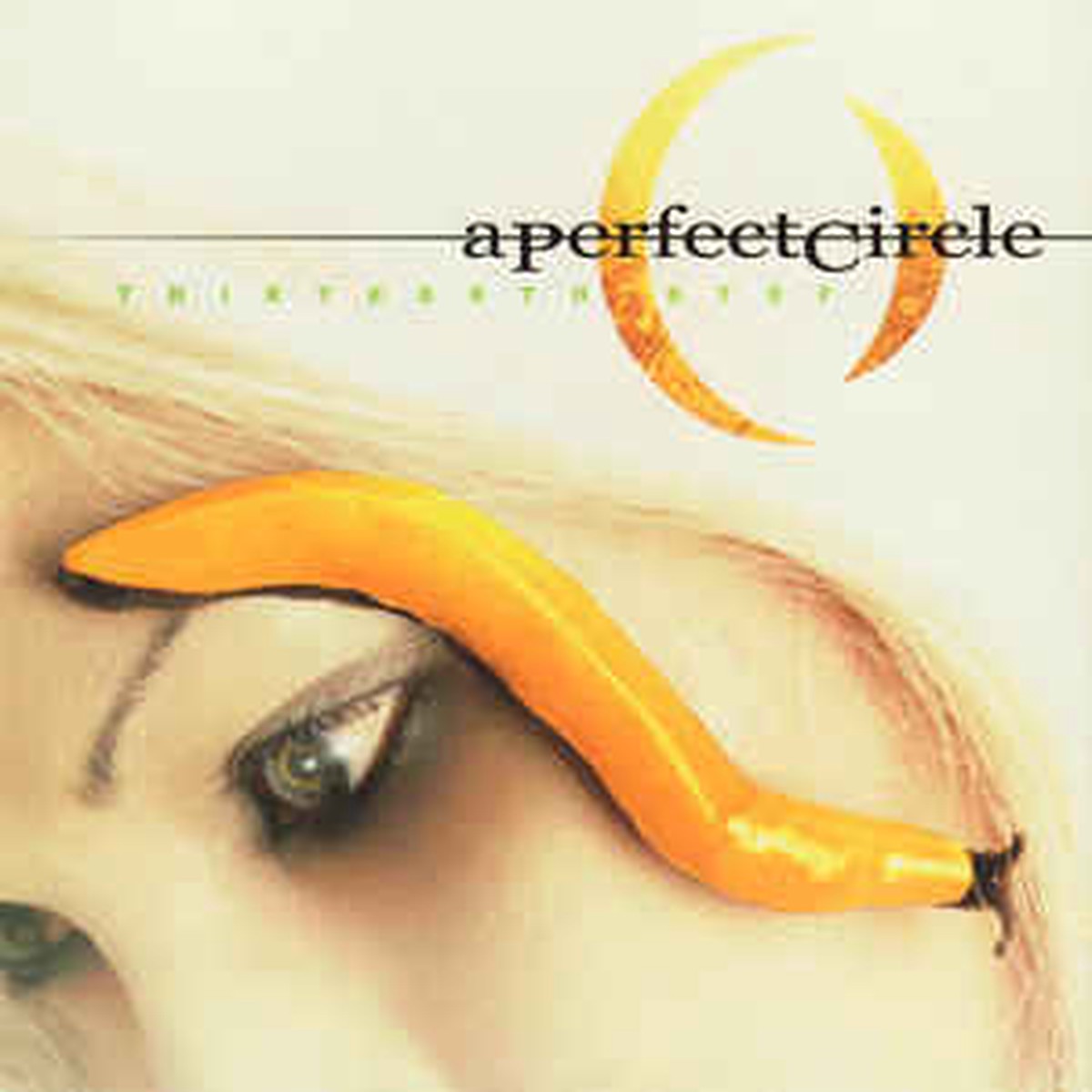 A PERFECT CIRCLE - THIRTEENTH STEP (CD)