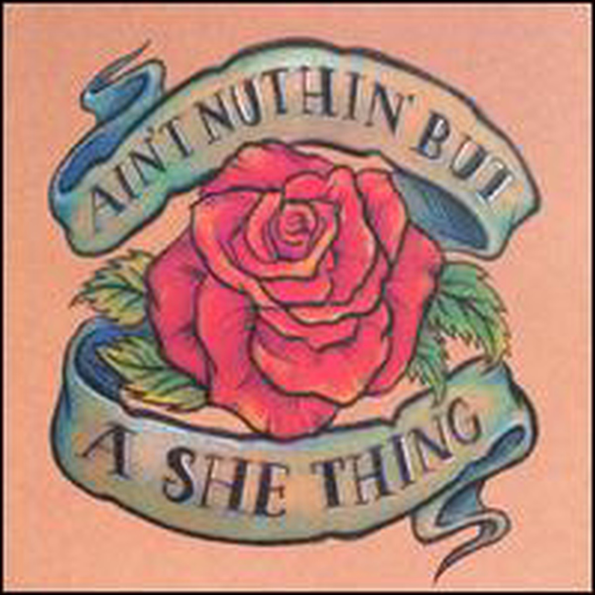 AIN'T NUTHIN' BUT A SHE THING - VARIOUS (CD)