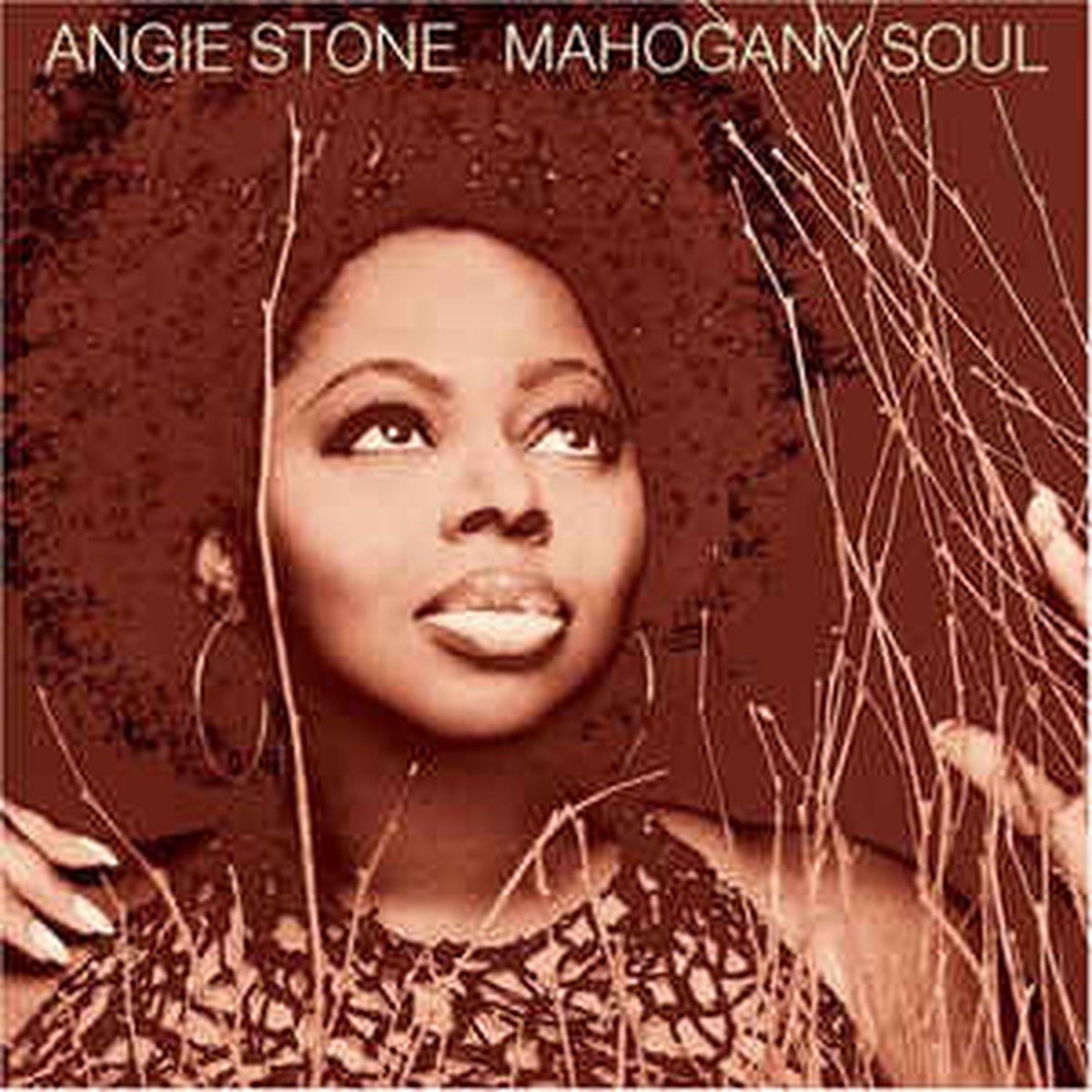 ANGIE STONE - MAHOGANY SOUL (CD)