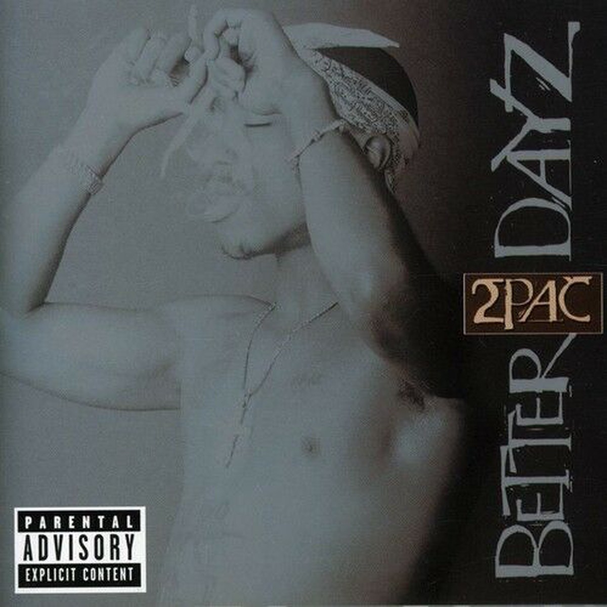 2PAC - BETTER DAYZ (2CD)