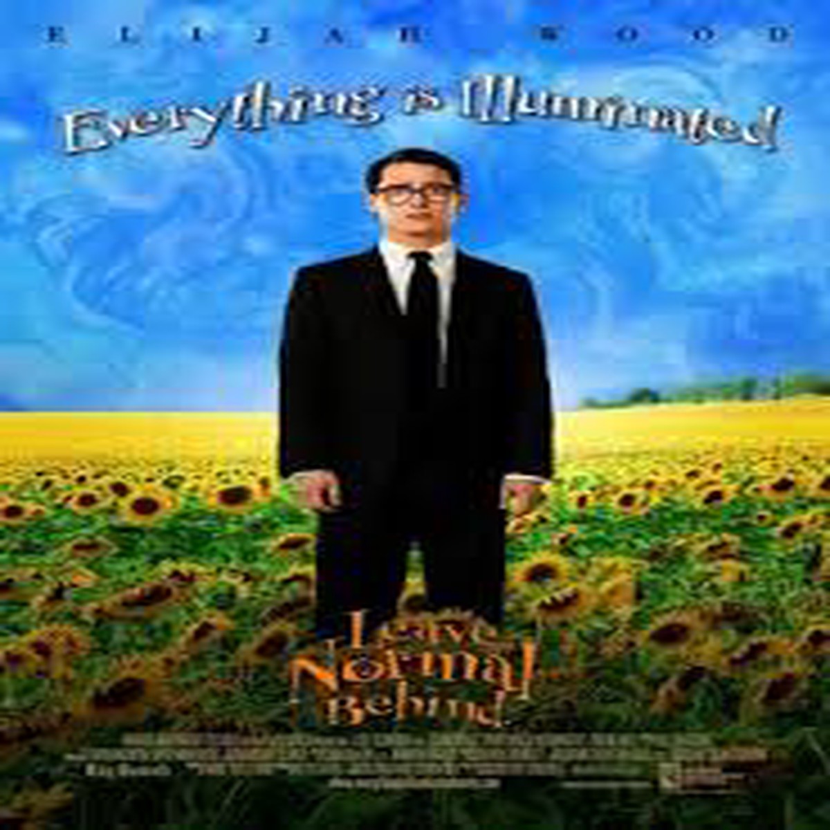 EVERYTHING IS ILLUMINATED - (DVD)