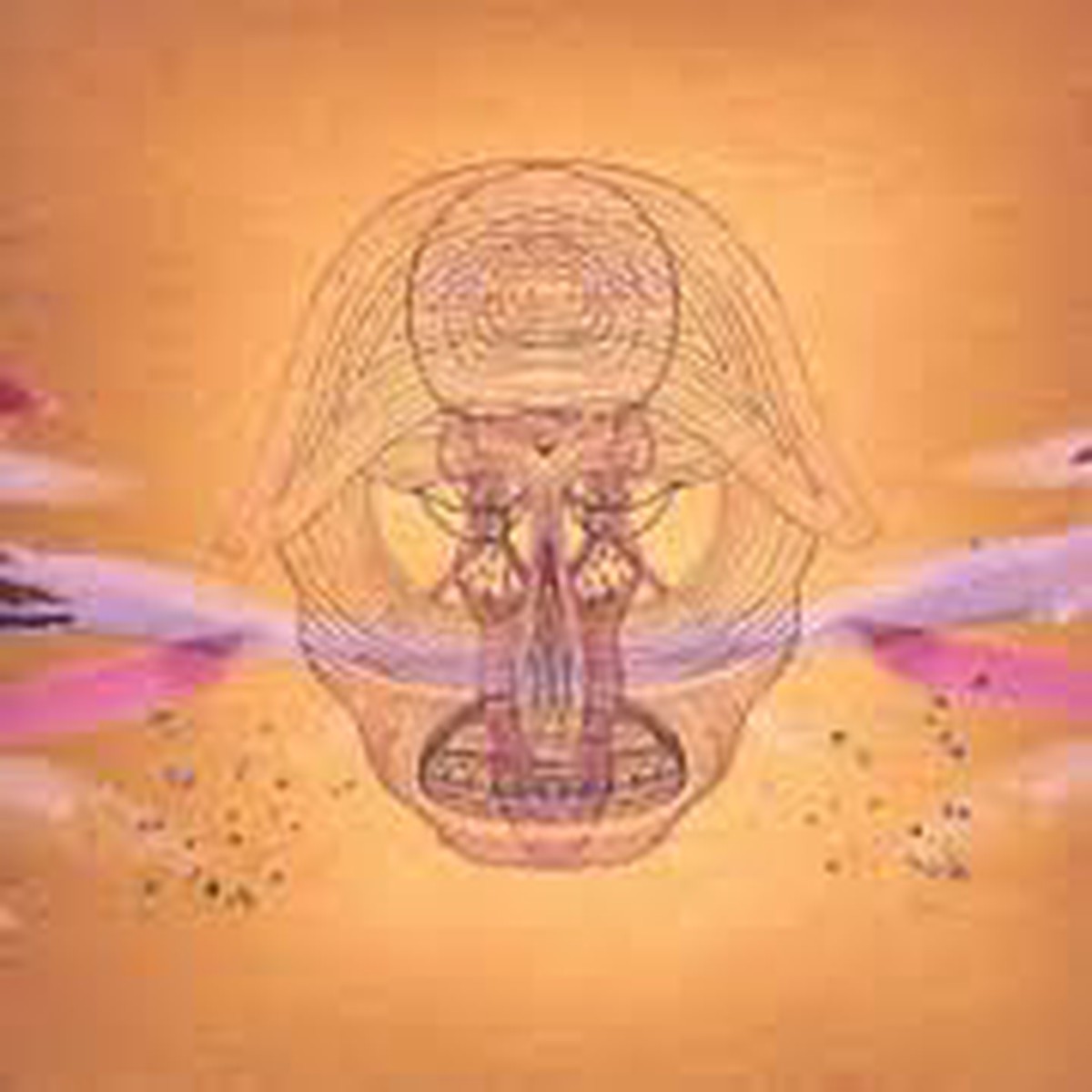 DEVENDRA BANHART - WHAT WILL WE BE (CD)