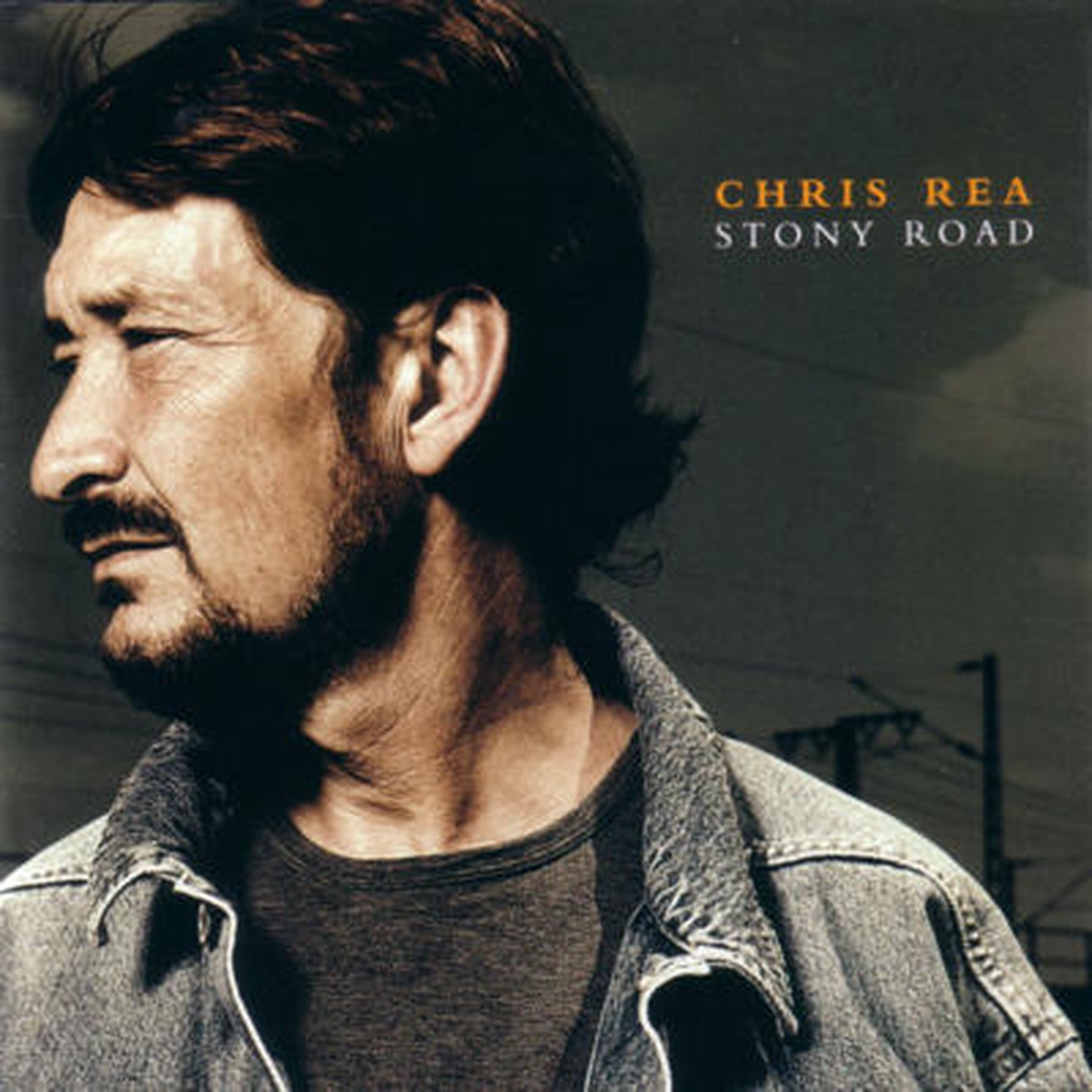CHRIS REA - STONY ROAD (CD)